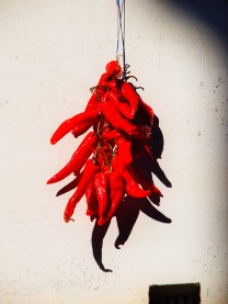 Chillies drying in the sunshine